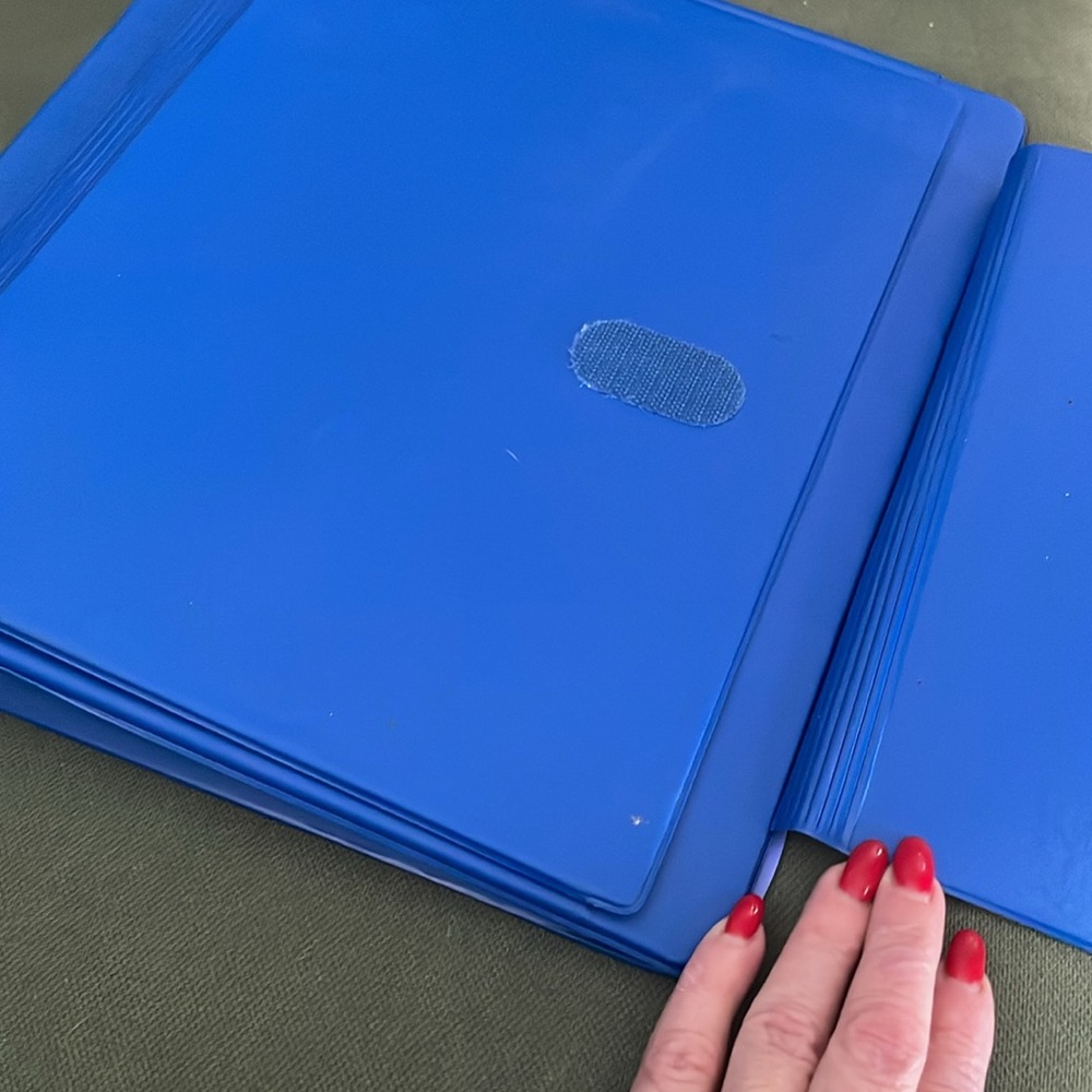 Blue and Purple File Organizer